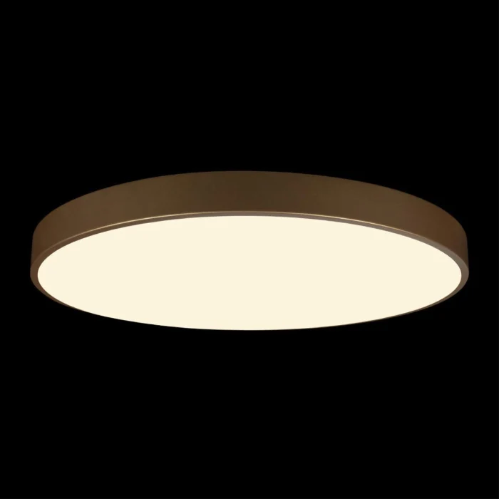 Потолочный светильник Loft it Flims 10228/B