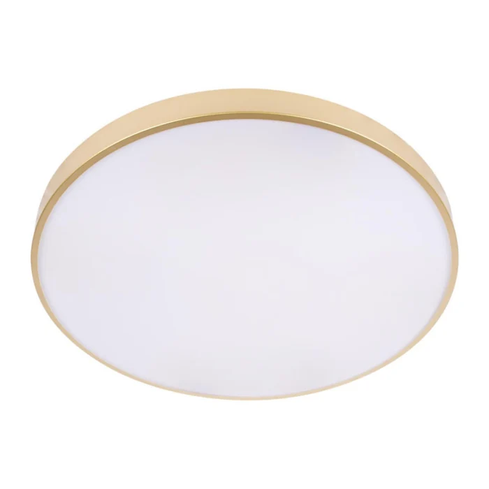 Потолочный светильник Loft it Flims 10228/B