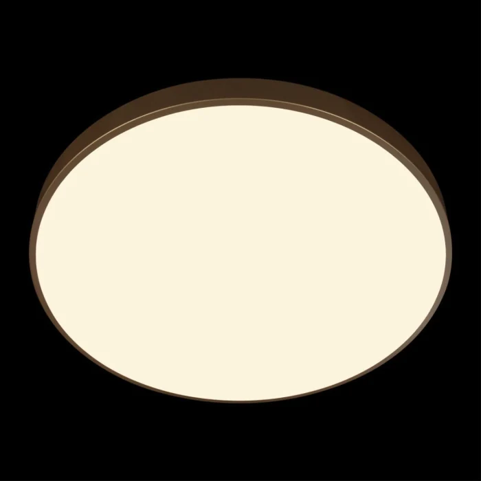 Потолочный светильник Loft it Flims 10228/B
