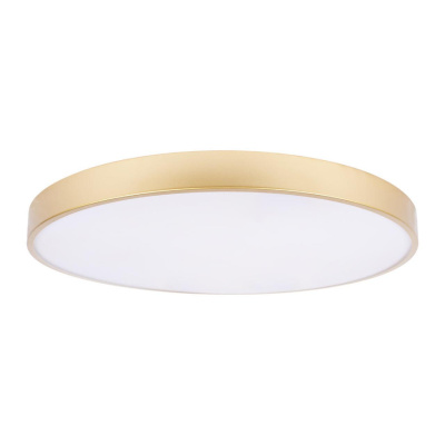 Потолочный светильник Loft it Flims 10228/B