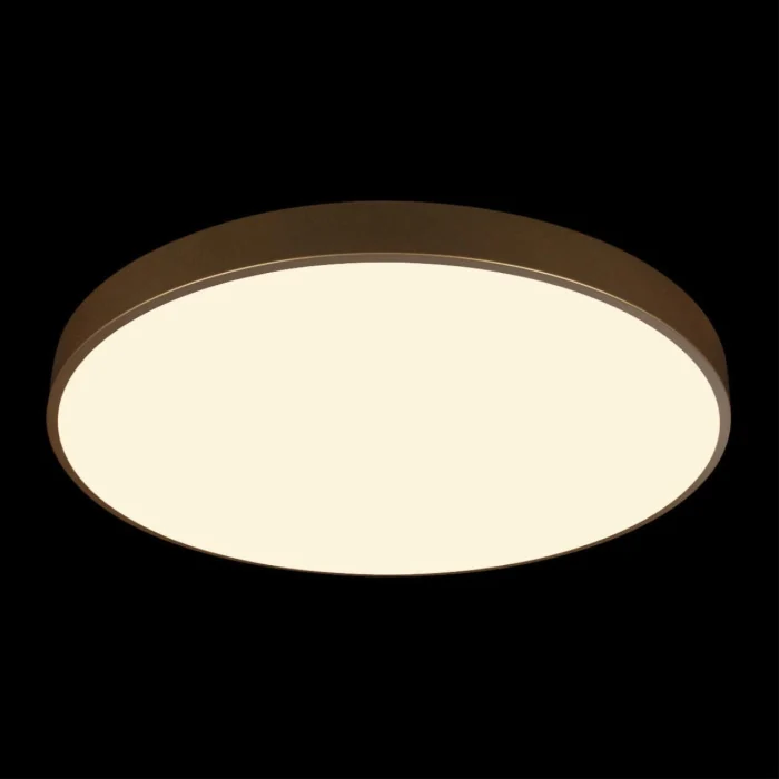 Потолочный светильник Loft it Flims 10228/B