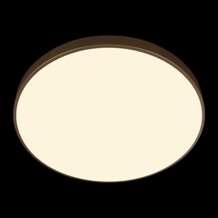 Потолочный светильник Loft it Flims 10228/B