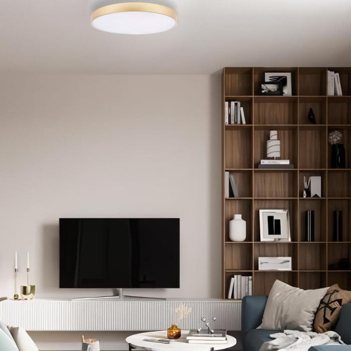 Потолочный светильник Loft it Flims 10228/B
