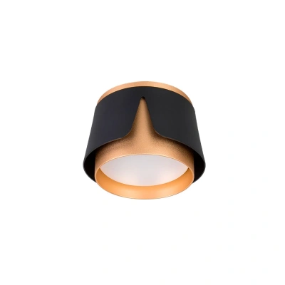 Потолочный светильник Arte Lamp AMAKS A8028PL-1BK