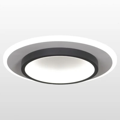 Потолочный светодиодный светильник Lussole Moonlight LSP-8463