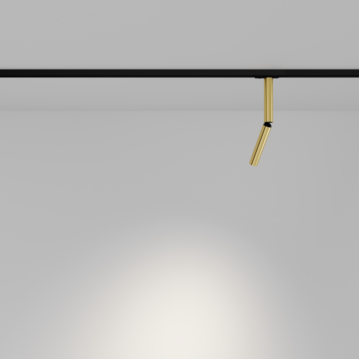 Трековый светильник Maytoni Focus Dual TR142-1-6W3K-BS