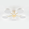 Потолочная люстра на штанге RUNE ESCADA 10262/5LED