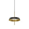 Подвесной светильник Delight Collection MD18001061 MD18001061-1A  black/gold
