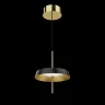 Подвесной светильник Delight Collection MD18001061 MD18001061-1A  black/gold