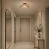 Светильник потолочный ST-Luce черный/шампань LED 1*15W 4000K SL6143.422.01