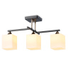 Потолочный светильник Ambrella light TR303114