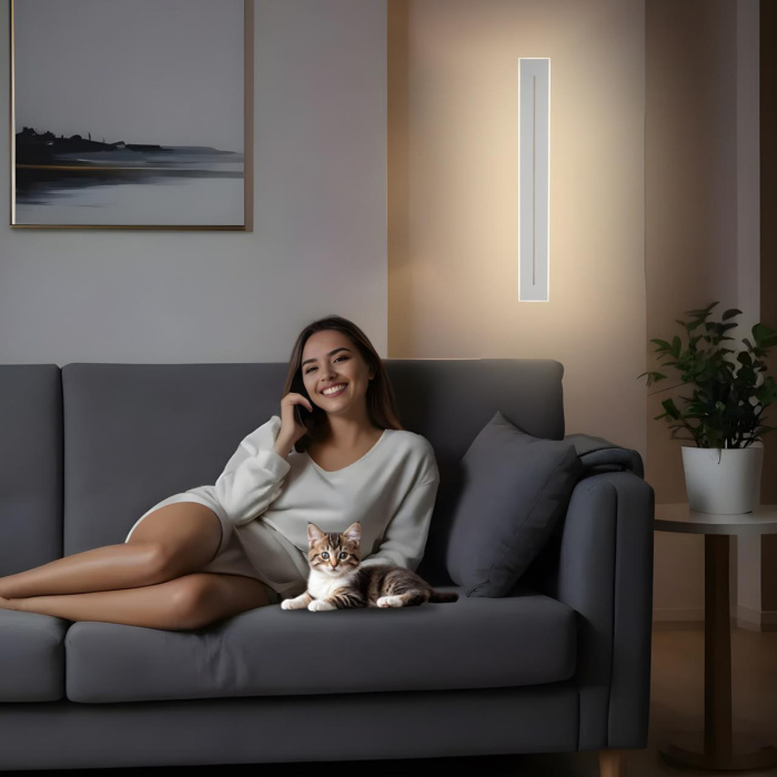 Светильник настенный Citilux Тринити CL238660