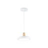 Светильник светодиодный подвесной AMBRELLA light FL4838