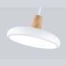 Светильник светодиодный подвесной AMBRELLA light FL4838