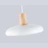 Светильник светодиодный подвесной AMBRELLA light FL4838