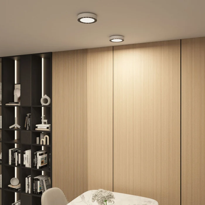 Потолочный светильник Denkirs Dual DK2840-WB