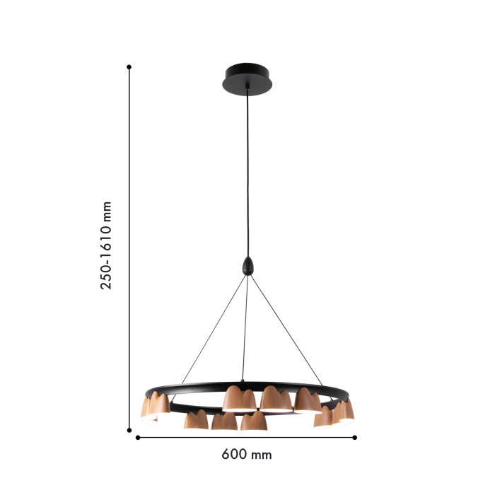 Подвесная люстра Favourite 4266-12P