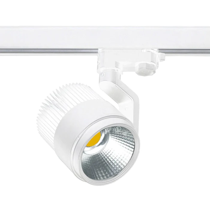 Потолочный светильник Leds C4 ACTION 35-2517-14-37