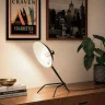 Настольная лампа ST LUCE SL305.404.01