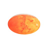 Настенно-потолочный светильник SONEX MARS 7725/EL
