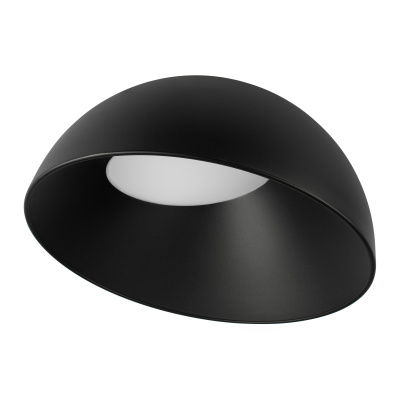 Потолочный светильник LOFT IT Egg 10197/500 BB