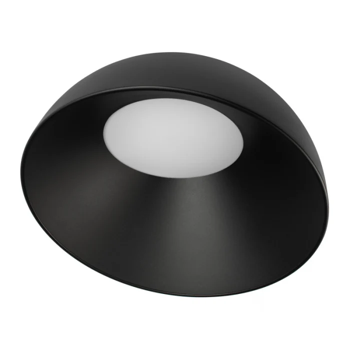 Потолочный светильник LOFT IT Egg 10197/500 BB