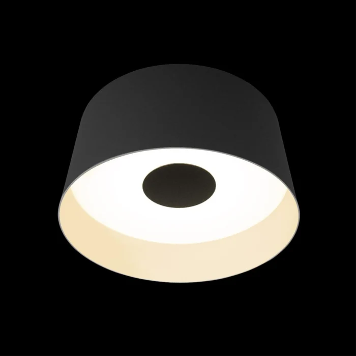 Потолочный светильник Loft it Duo 10360M Grey