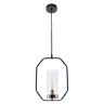 Подвесной светильник Arte Lamp CELAENO A7004SP-1BK