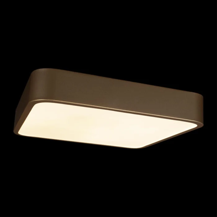Потолочный светильник Loft it Flims 10228/C