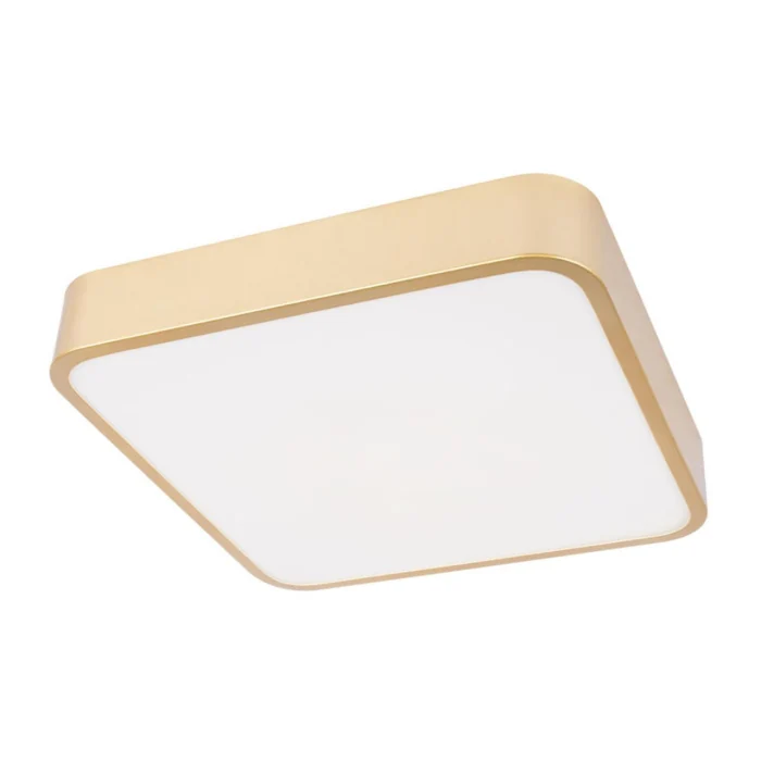 Потолочный светильник Loft it Flims 10228/C