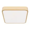 Потолочный светильник Loft it Flims 10228/C