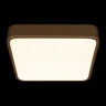 Потолочный светильник Loft it Flims 10228/C
