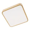 Потолочный светильник Loft it Flims 10228/C