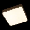Потолочный светильник Loft it Flims 10228/C