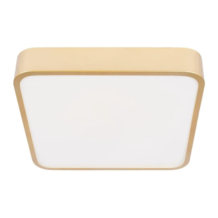 Потолочный светильник Loft it Flims 10228/C