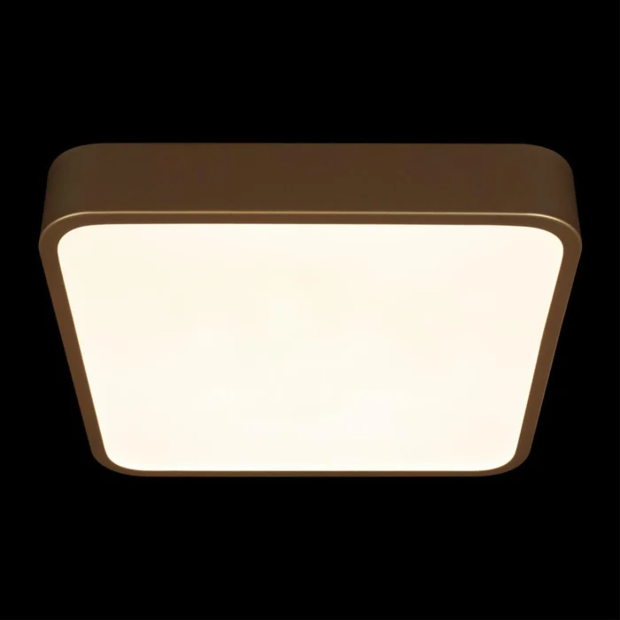 Потолочный светильник Loft it Flims 10228/C