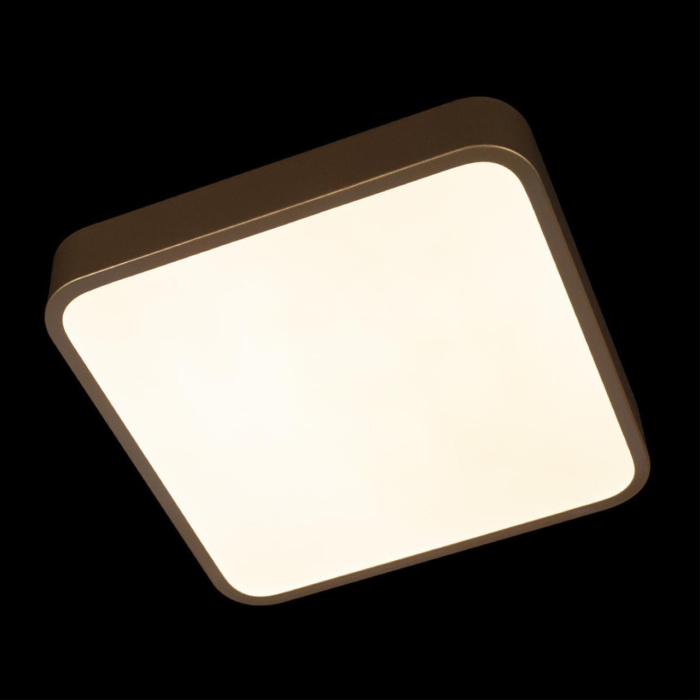 Потолочный светильник Loft it Flims 10228/C