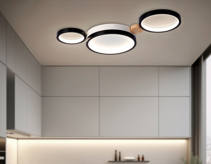 Настенно-потолочный светодиодный светильник с пультом Ambrella light FL4814