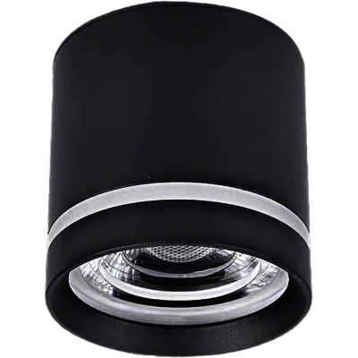 Светильник точечный накладной ALTAIR WERTMARK TECHNICAL WTA.O08.607.30.05