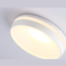 Встраиваемый точечный светильник MR16 с акрилом Ambrella light TN3321