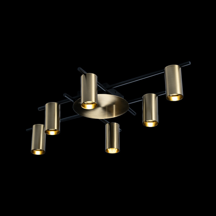 Светильник потолочный LOFTIT 8120C-6