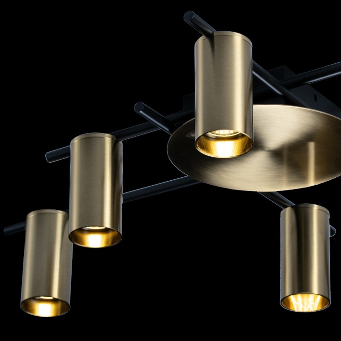 Светильник потолочный LOFTIT 8120C-6