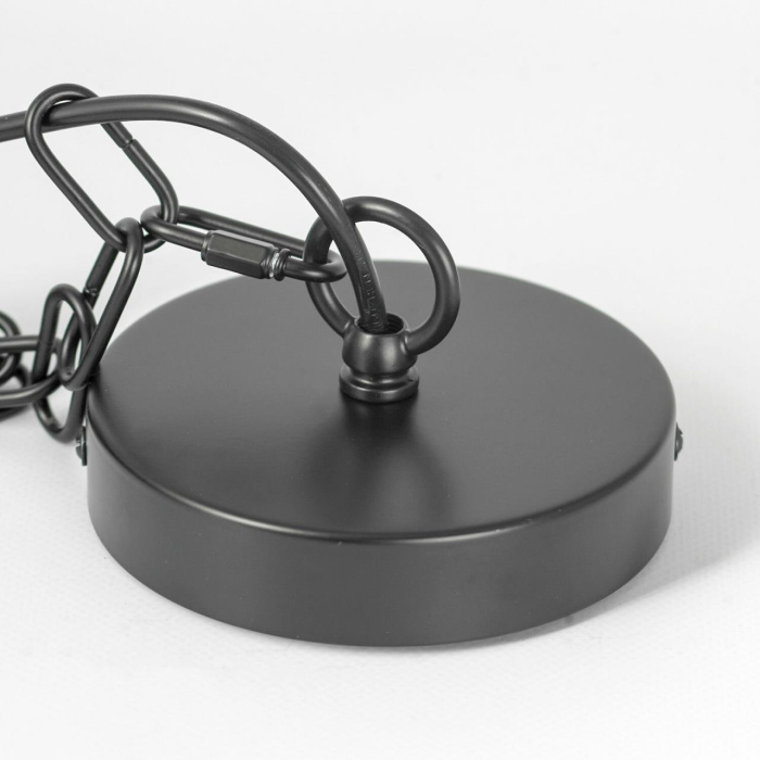 Люстра подвесная Lussole Fremont LSP-8817