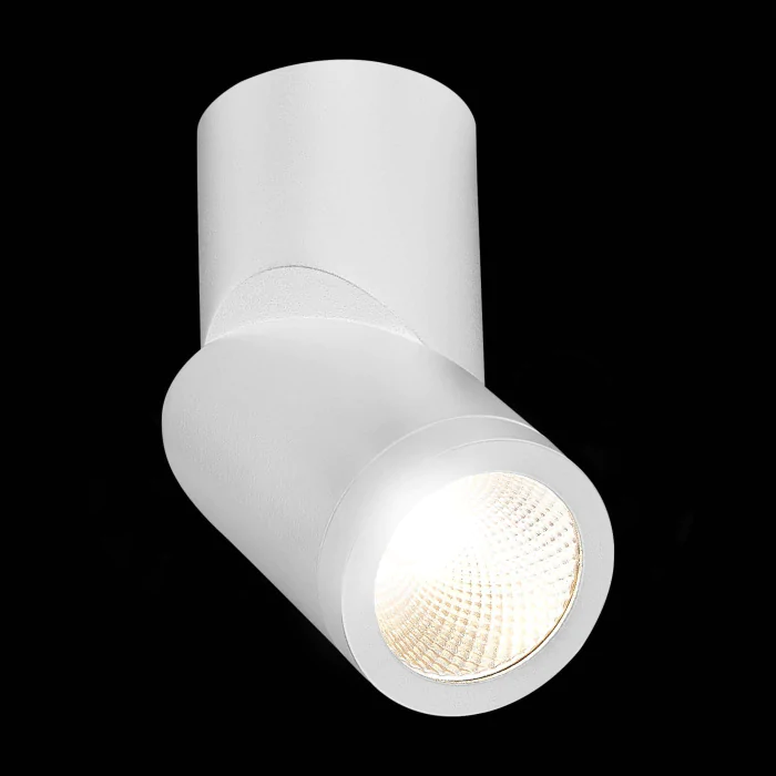 Накладной светильник ST LUCE ST650.542.10