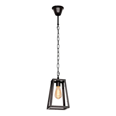 Подвесной светильник Loft it Modern filament LOFT1127
