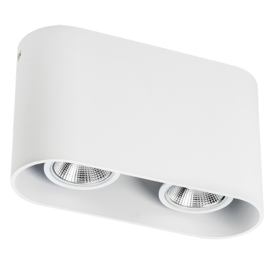 Светильник точечный накладной под заменяемые галогенные или LED лампы Rullo Lightstar 214866