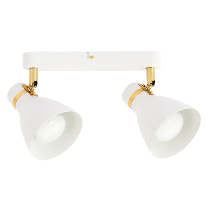 Светильник потолочный Arte Lamp FAFNIR A5047PL-2WH