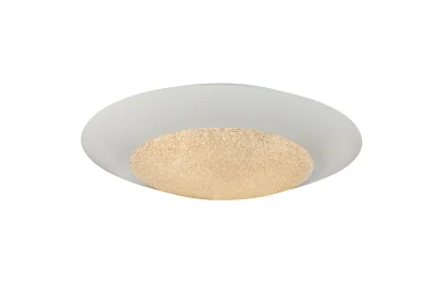 Потолочная люстра iLedex Plain 6146/24W WH