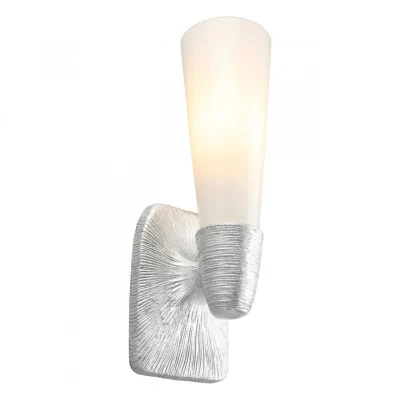 Светильник настенный Aployt Hloya APL.800.11.01