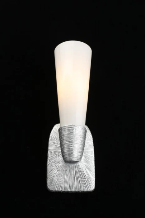 Светильник настенный Aployt Hloya APL.800.11.01